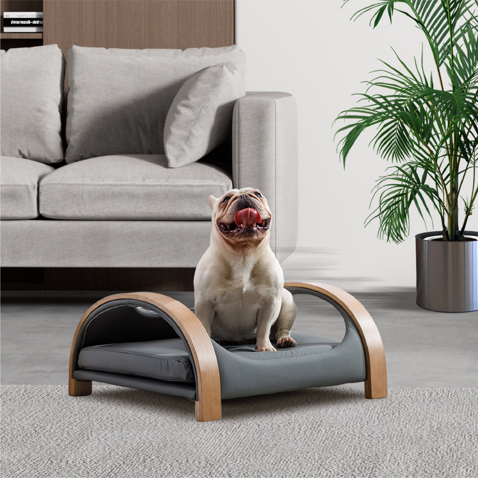 https://assets.wfcdn.com/im/79561260/compr-r85/2565/256554247/lily-cat-bed-pet-sofa-with-solid-wood-frame-cat-scratch-resistant-pu-cushionmid-size.jpg