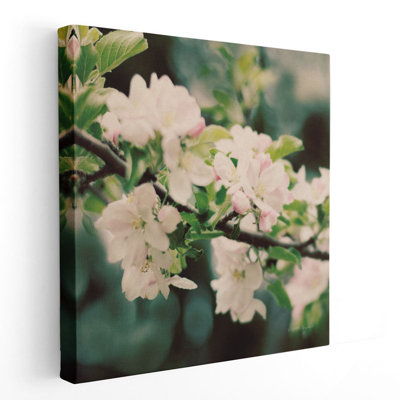 «Apple Blossoms I», reproduction d'art sur toile