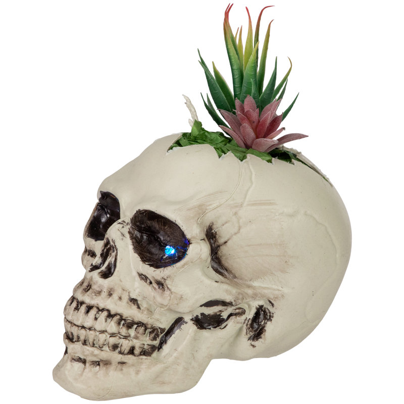 Pot à fleurs 8,75 "à DEL avec crâne d'Halloween