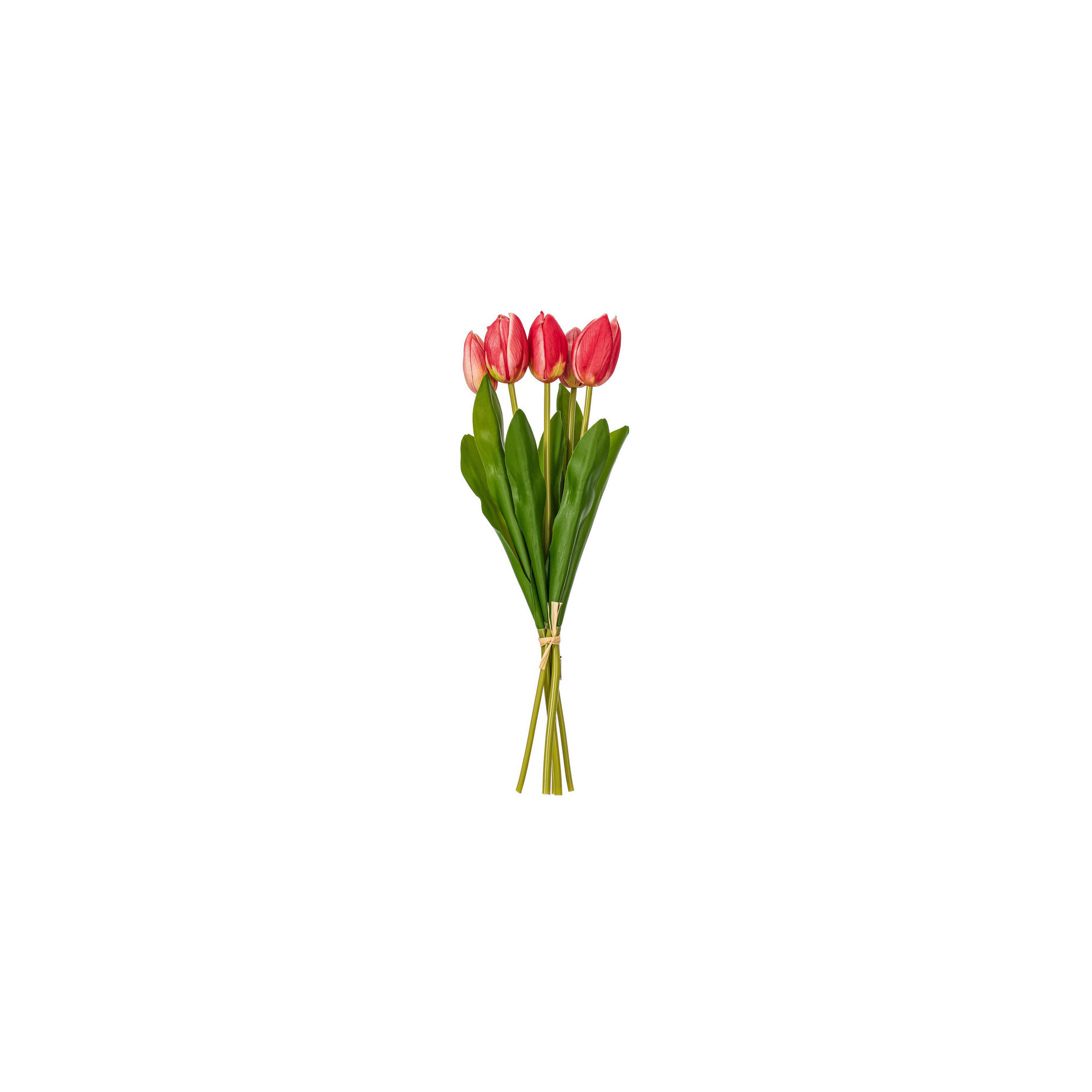 16"H Plum Tulip Bundle of 5., Mauve Cream