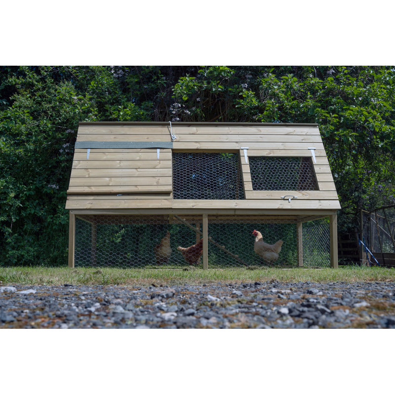 Chicken Coop with Chicken Run