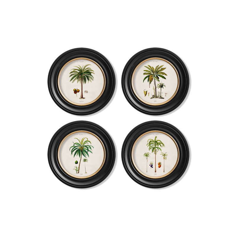 Banana Palm by Mid-1800s - Single Picture Frame Print on Archival Matt 230gsm Paper