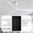 50" Modern White Propeller Ceiling Fan without Lights, Remote Control Included, 6-Speed Reversible DC Motor, Timer