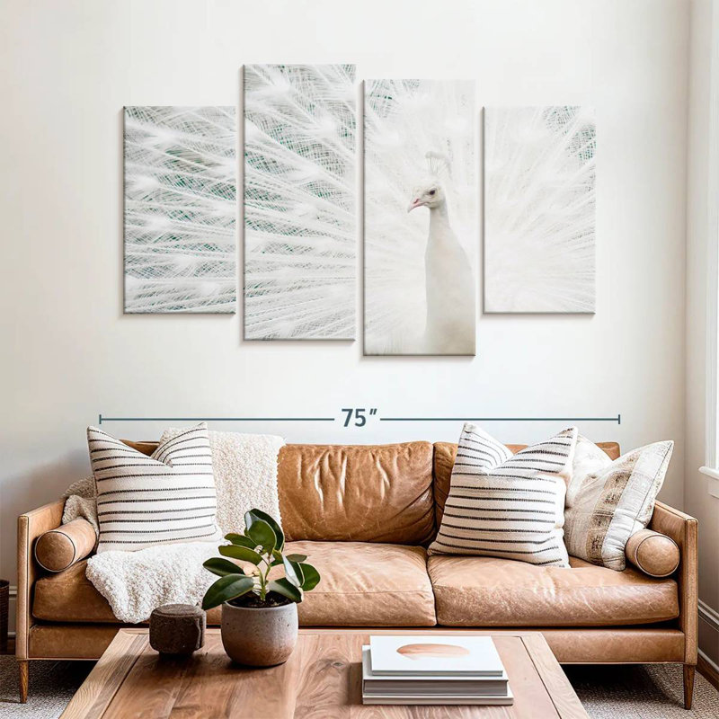 Plume de paon blanc neige Brampt, H 42 po x l 68 po