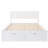 Bybel Daybed-1656170024
