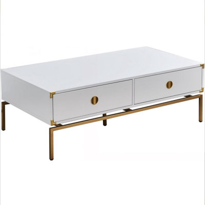 Coffee Table with Storage Metal Legs
