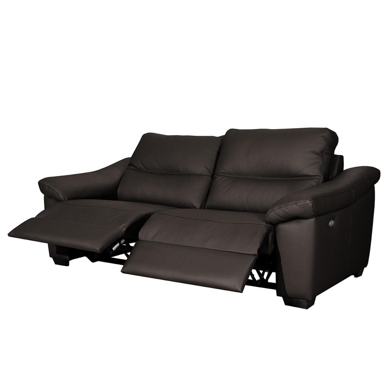 Edeltrudis Genuine Leather 2 Seater Reclining Sofa, Dark Brown, 100cm H x 212cm W x 95cm D