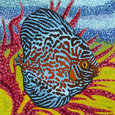 Brillant poisson tropical II