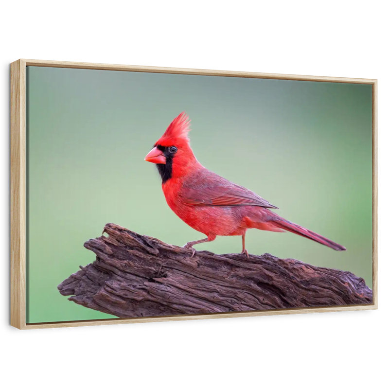 Ebern Designs Cardinal On Wood | Wayfair