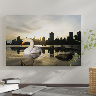 " Mute Swan, Lost Lagoon, Stanley Park, Vancouver, British Columbia, Canada " by Paul Colangelo