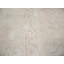 Muted Beige Traditional 10X13 Oriental Area Rug
