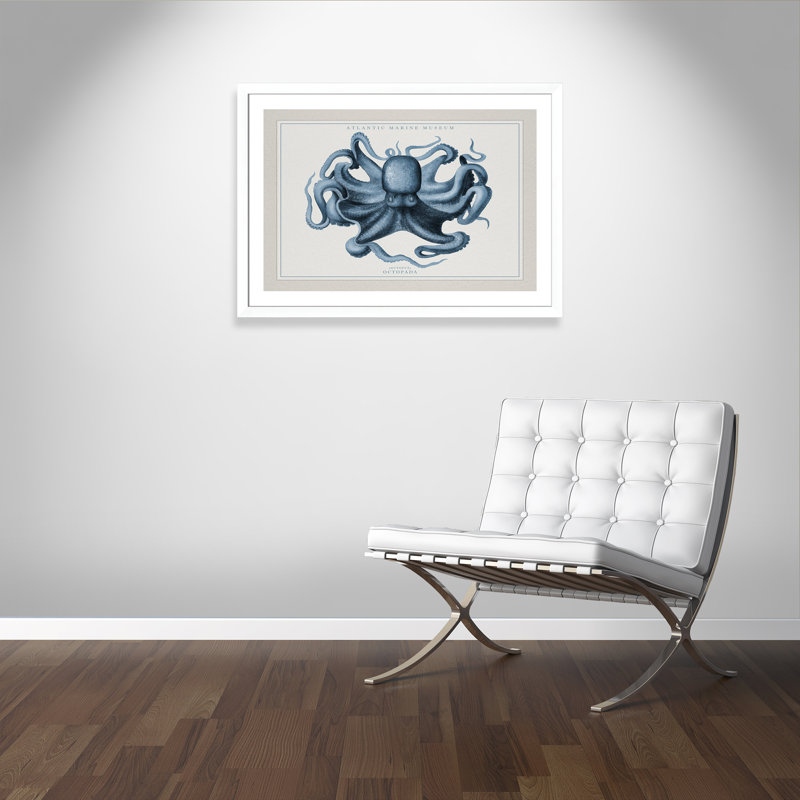 «Atlantic Marine Museum Octopus II», cadre photo, Papier encadré blanc mat, H 31 po x l 43 po x P 1,25 po