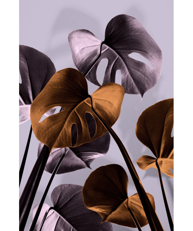 Monstera 01, 76.2cm H x 50.8cm W