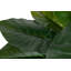 133cm Faux Banana Leaf Plant in Pot