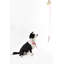 Laisse ajustable mains libres et collier 6-en-1 avec lampe DEL Luna 8 pi-112281002-133664131