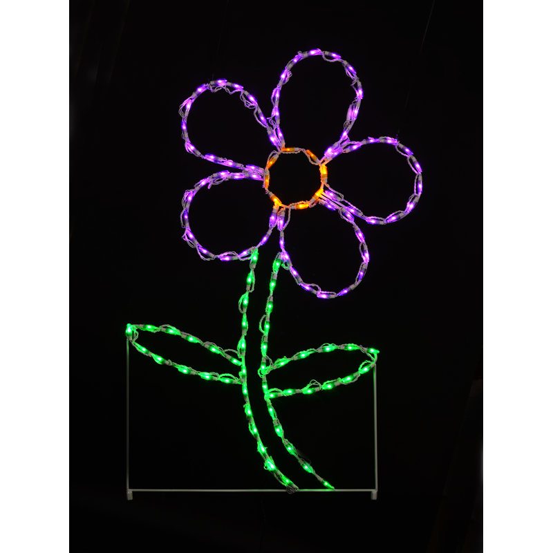 Daisy led lumière, Mauve