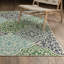 Tapis intérieur / extérieur bleu / vert Aganlane Morrocan Medallions-1024039187