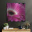 «Gerbera Daisy» par Pamela Plummer, art mural en métal, 12 po x 12 po-1798402334