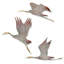 Set of 3 Cranes in Flight Wall Sculpture