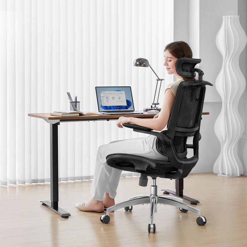 Mesh Office Chair, with Adjustable 3D Folding armrests, Dual-back Design, Black, Black