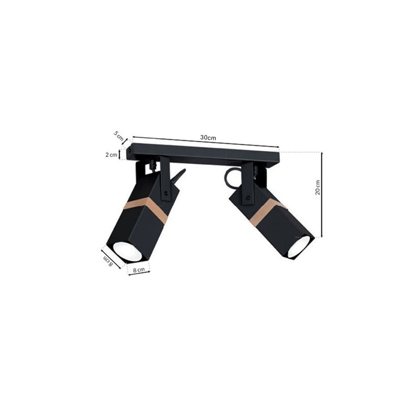 Briggsiii Spotlight, Black