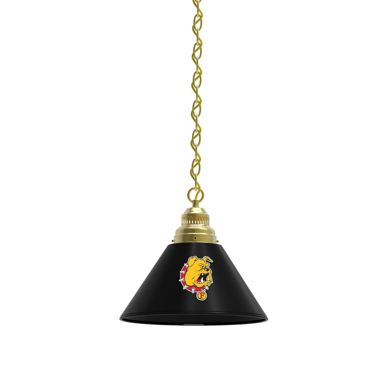 1 - Light Single Pendant, Brass, Ferris State Bulldogs