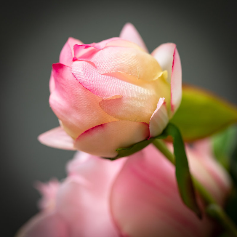 Polyestr Peony Bud Arrangement