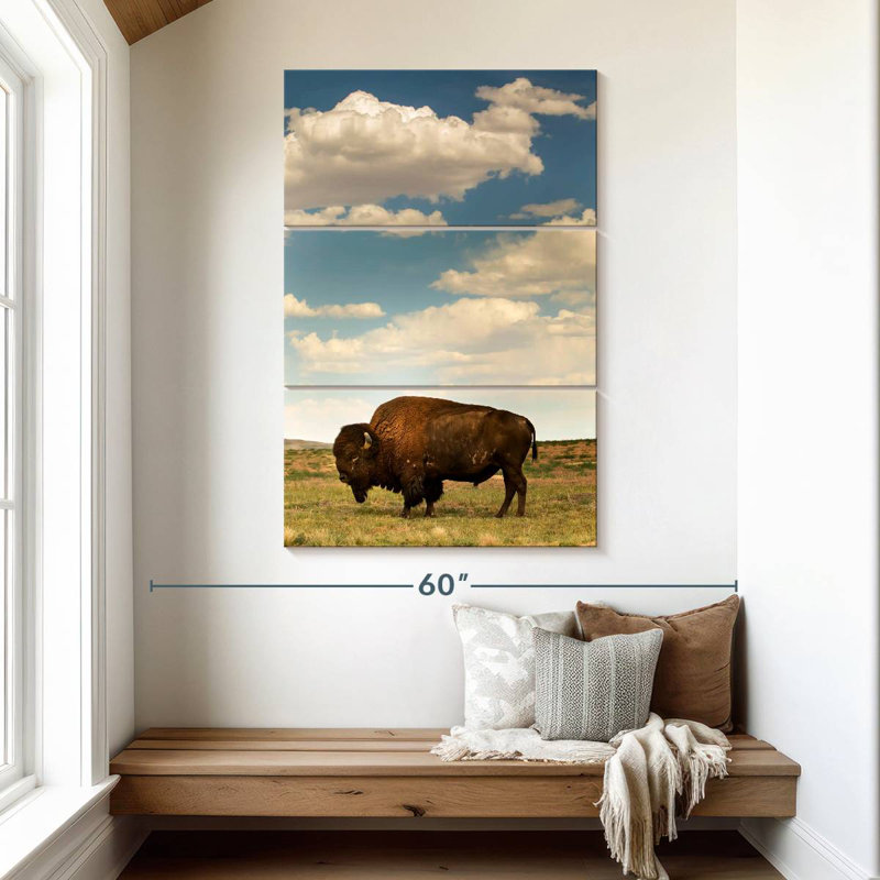Bison des Rocheuses Brampt, H 50 po x l 32 po