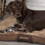 Chester Polyester Pet Bed-1761404263