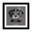 « fidel cubain native », impression sur toile-32584337-72148767-72148768