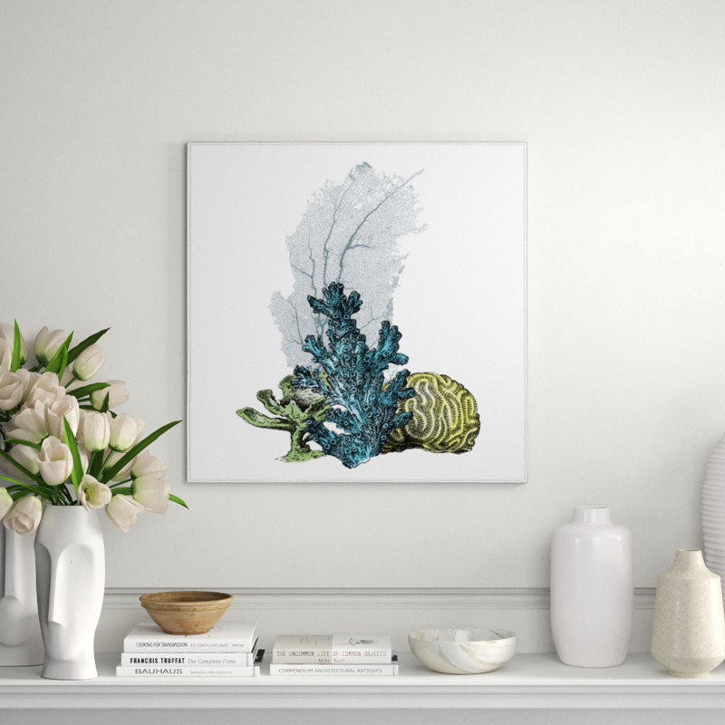 Coral Beauty II Print by Sofia Fox, Outdoor, 40" H x 40" W