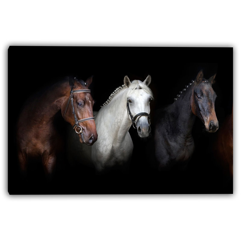 Art sur toile, "Regal Trio", H 36 po x l 48 po