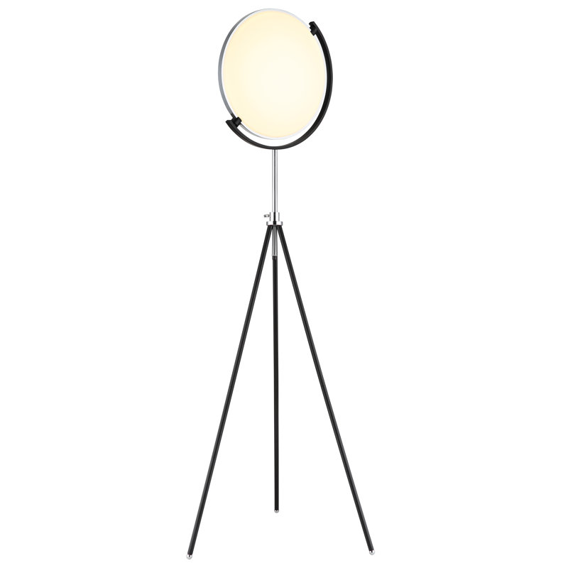 168cm Matte LED Novelty Floor Lamp