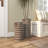 Cowie Distressed Iron Bucket Planters with Side Handles (Set of 2)