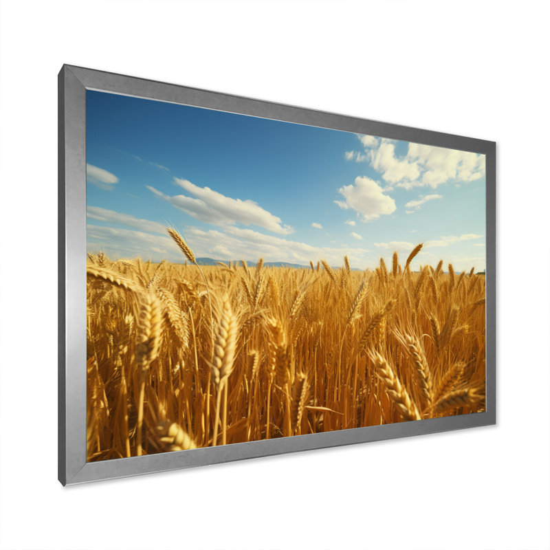 Champ français doré de Bretagne II - reproduction, H 30 po x l 40 po x P 1,5 po, Cadre simple argenté