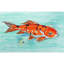 Tapis d'entrée / extérieur antidérapant Coastal Koi-1858786769