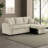 Kaling Sleeper Sofa-1723580736