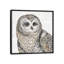 «Beautiful Owls II», impression sur toile-20824996-72805632-72805634