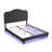 Upholstered Button Tufted Bed With LED Light