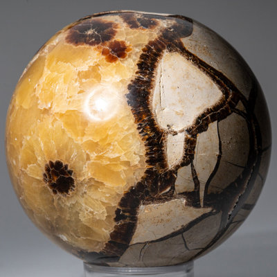 Véritable sphère septarienne polie (2 ") de Madagascar