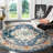 Almyra Oriental Area Rug-85137248-6114204