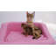 Pet Bed-9260445-9260448