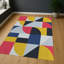 Geometric Area Rug-1348441679