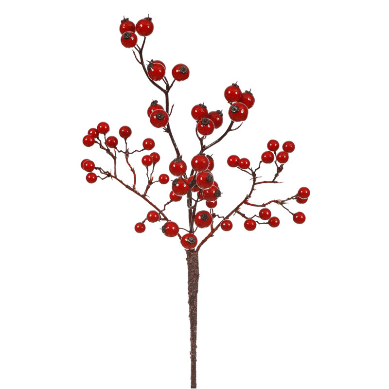 Mélange rouge de baie mixte