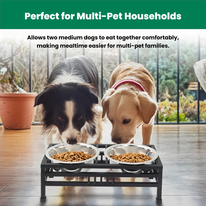 Medium Elevated Black Iron Pet Double Diner with Stainless Steel Bowls
