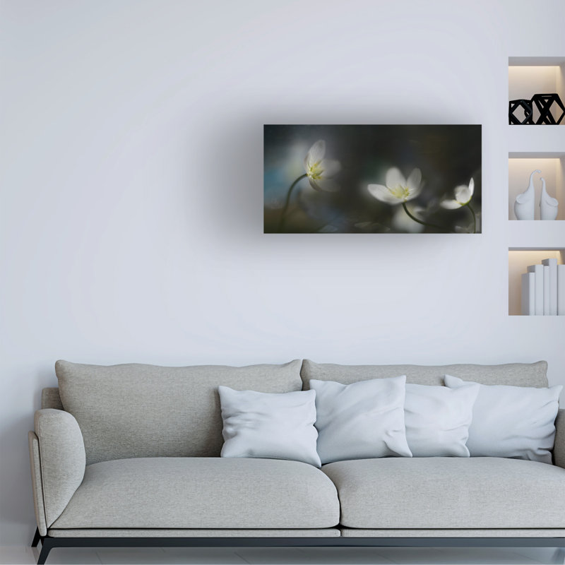 Art sur toile Heidi Westum, H 12 po x l 24 po