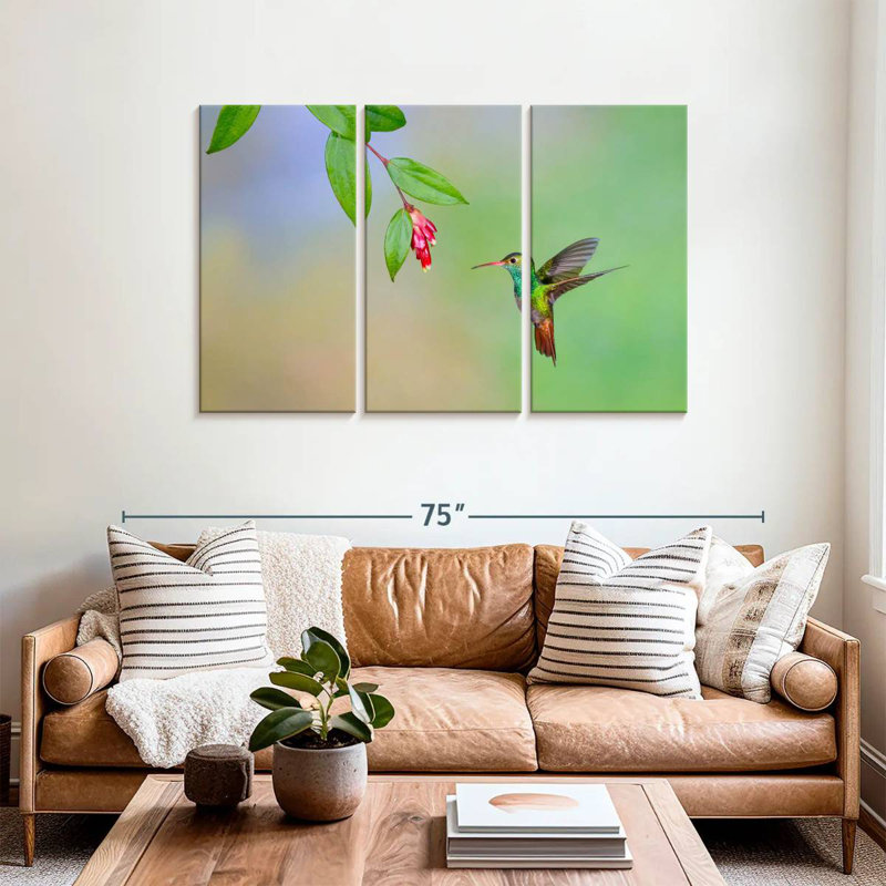 Brampt Rufous Tailed Hummingbird, 36" H x 57" W