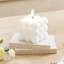 Plant / Floral Scented Wax Melt