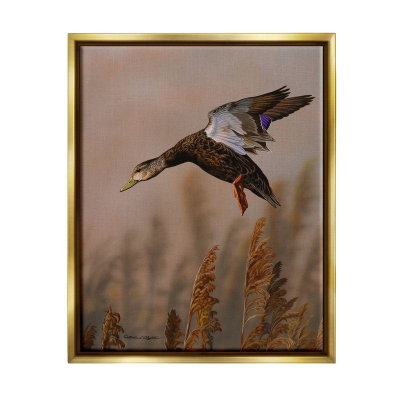 «Duck Flying» par Richard Clifton, H 31 po x l 25 po x P 1,7 po, Cadre flottant métallique doré