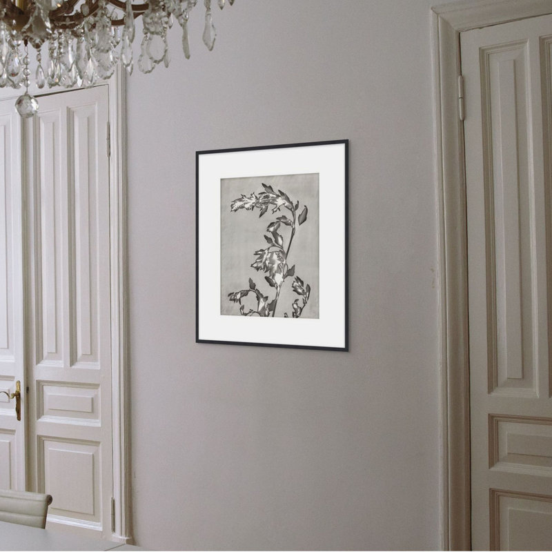 Lucent Botanicals 3 Print by Darrell Kincer, 28.5" H x 25.5" W